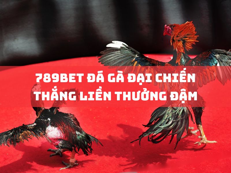 789bet đá gà: chiến thắng nhận thưởng khủng ngay! 1 789bet đá gà đại chiến thắng liền thưởng đậm