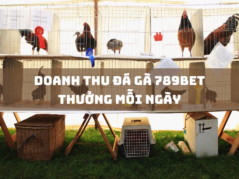 doanh thu đá gà 789bet thứ bảy hàng tuần: cập nhật mới 1 doanh thu tuần đá gà 789bet mỗi thứ 7 hàng tuần