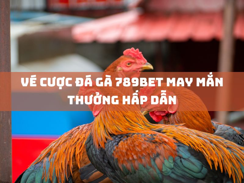 vé cược đá gà 789bet: thưởng hấp dẫn và may mắn 1 ve cuoc da ga 789bet may man thuong hap dan